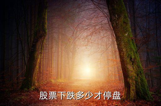 股票下跌多少才停盘