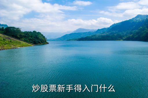 股票新手入门需要什么，炒股票新手得入门什么