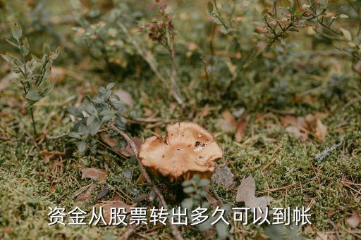 资金从股票转出多久可以到帐