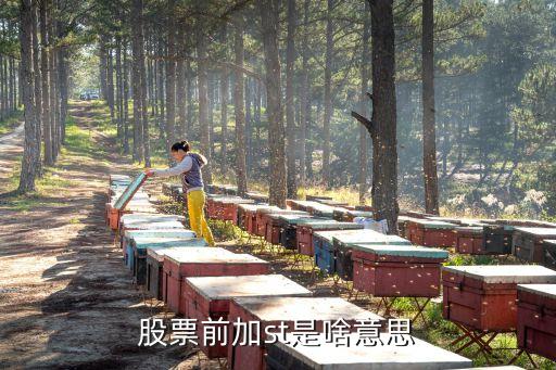 股票出现st是什么意思，股票前加st是啥意思