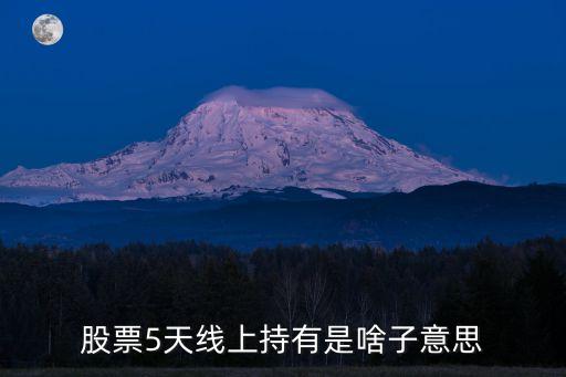 股票5天线上持有是啥子意思