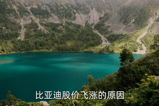 比亚迪为什么股票这么涨，比亚迪股价飞涨的原因