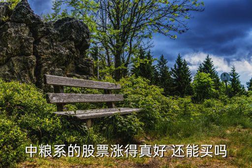 为什么中粮股票这么火热，中粮系的股票涨得真好 还能买吗