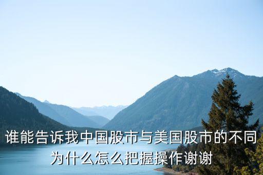 谁能告诉我中国股市与美国股市的不同为什么怎么把握操作谢谢