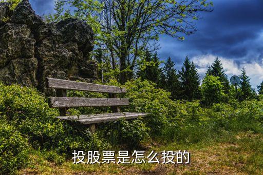 投股票是怎么投的