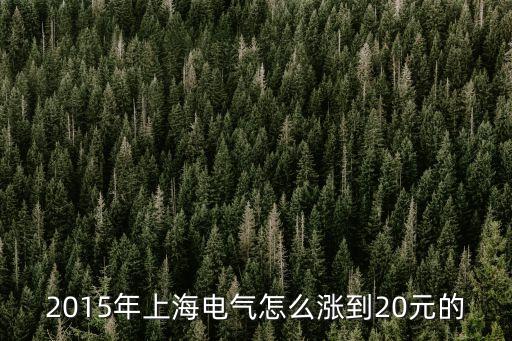 为什么上海电气股票这么贵，2015年上海电气怎么涨到20元的