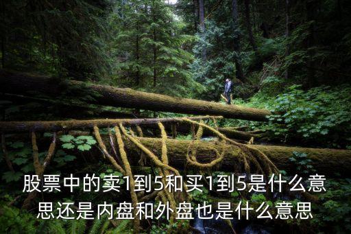 股票中的卖1到5和买1到5是什么意思还是内盘和外盘也是什么意思