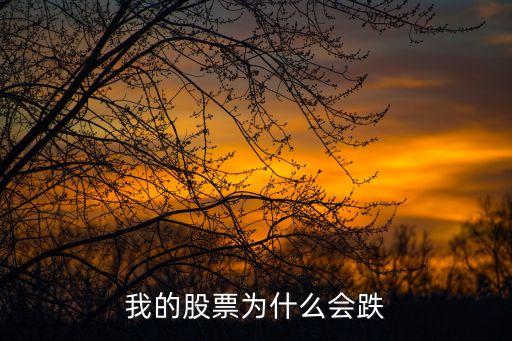 我的股票为什么会跌