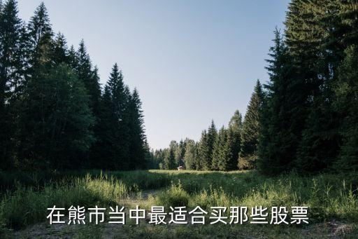 熊市持有什么股票能买，熊市要买什么样的股票