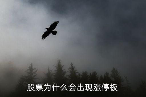 股票为什么会出现涨停板