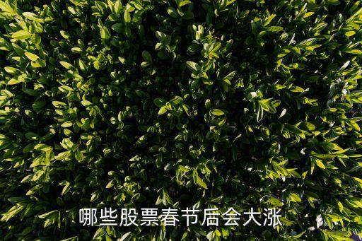 春节后有什么股票会涨停，哪些股票春节后会大涨