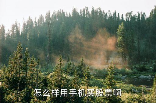 怎么样用手机买股票啊