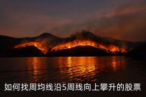 周五周线有什么股票，如何找周均线沿5周线向上攀升的股票