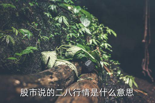 股票二八行情什么意思，股市说的二八行情是什么意思