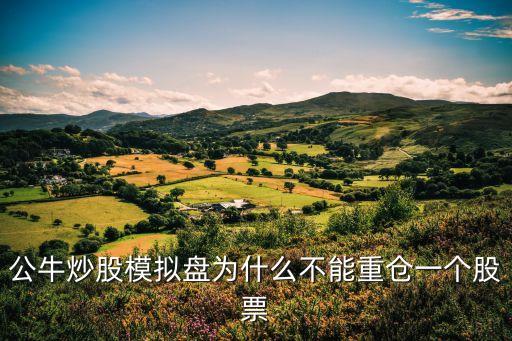 公牛炒股模拟盘为什么不能重仓一个股票