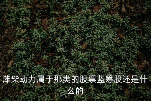 潍柴动力是什么行业股票，中联重科潍柴动力三一重工徐工机械柳工机械这些股票属于
