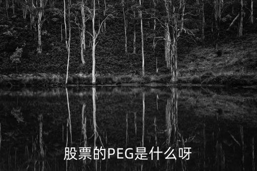 股票的持续盈利指标是什么，股票的PEG是什么呀