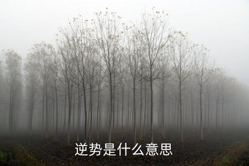 逆势是什么意思