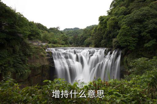 增持什么意思