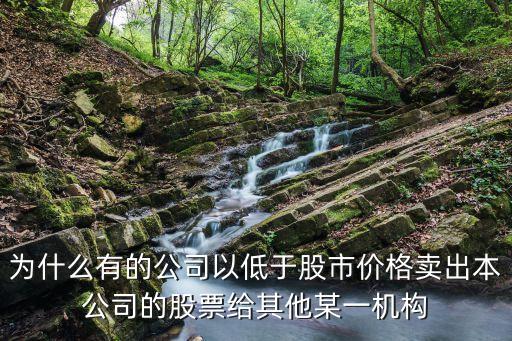 股票为什么有人故意低价卖，为什么有的公司以低于股市价格卖出本公司的股票给其他某一机构