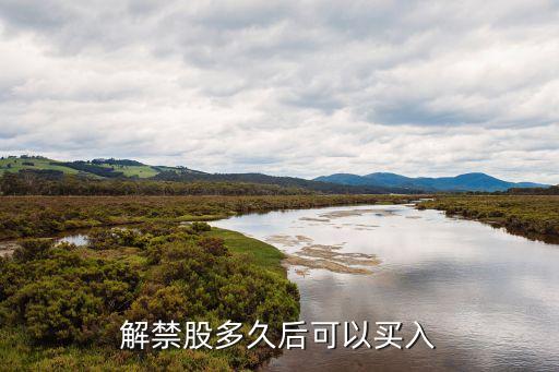 解禁股多久后可以买入