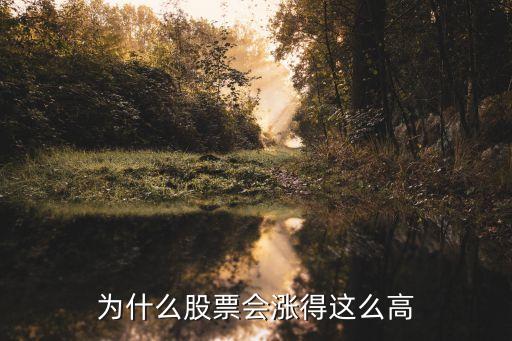 为什么股票会涨得这么高