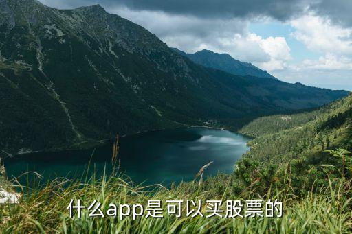 什么app是可以买股票的