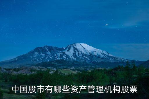 中国股市有哪些资产管理机构股票