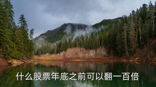 什么股票年底之前可以翻一百倍