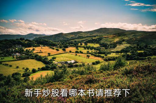 新手炒股看哪本书请推荐下