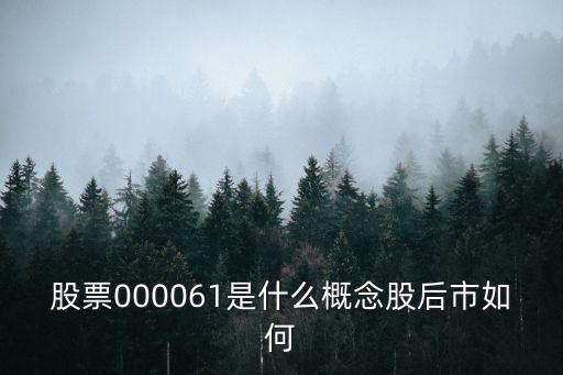 股票000061是什么概念股后市如何