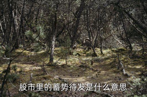 股票底部蓄势是什么意思，蓄势是什么意思啊