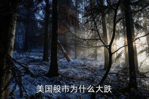 美国股市为什么大跌