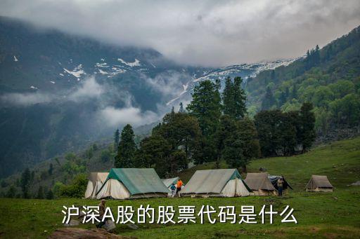 a股上的股票叫什么，沪深A股的股票代码是什么