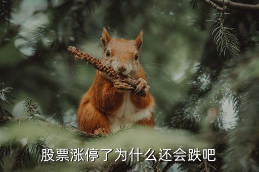 股票涨停是为什么会跌，股票涨停了为什么还会跌吧