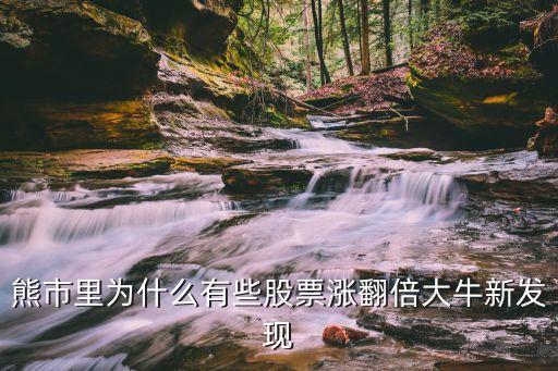 熊市都是什么股票涨的，求2003年2005年熊市中哪类股票涨的最好