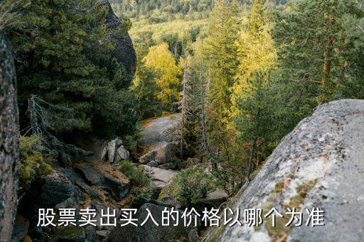 股票卖出买入的价格以哪个为准