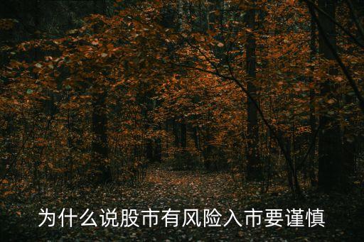为什么说股市有风险入市要谨慎