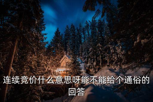 连续竞价什么意思呀能不能给个通俗的回答