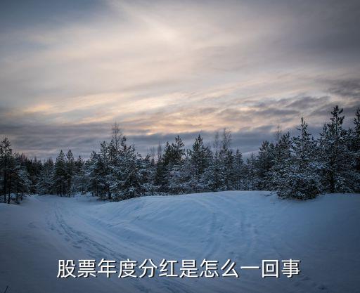 股票年度分红是怎么一回事