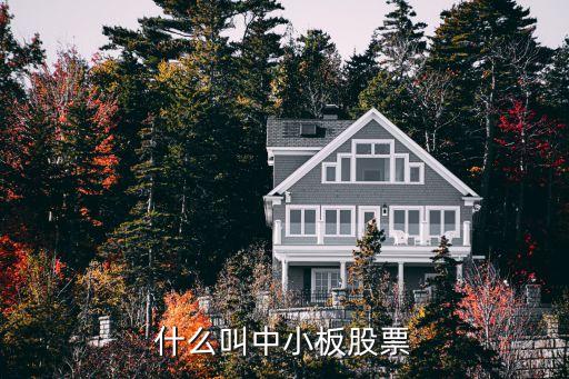 什么叫中小板股票
