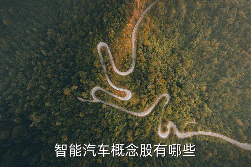 什么叫自动驾驶板块股票，自动驾驶汽车上市了么
