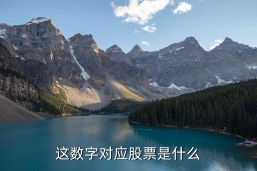 这数字对应股票是什么