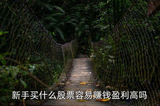 新手买什么股票容易赚钱盈利高吗