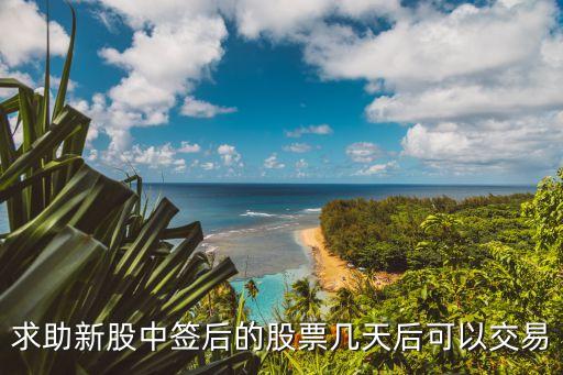 中签股票什么时候可以卖出，中签新股多长时间可以交易