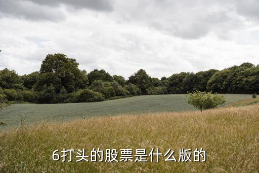 6打头的股票是什么版的