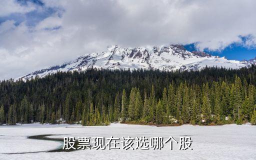 股票现在该选哪个股