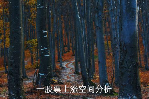 一股票上涨空间分析