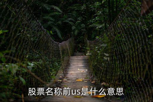 股票名称前us是什么意思