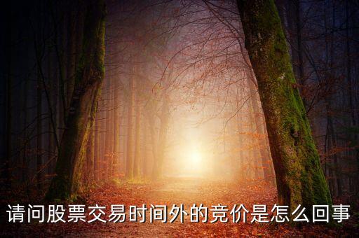请问股票交易时间外的竞价是怎么回事